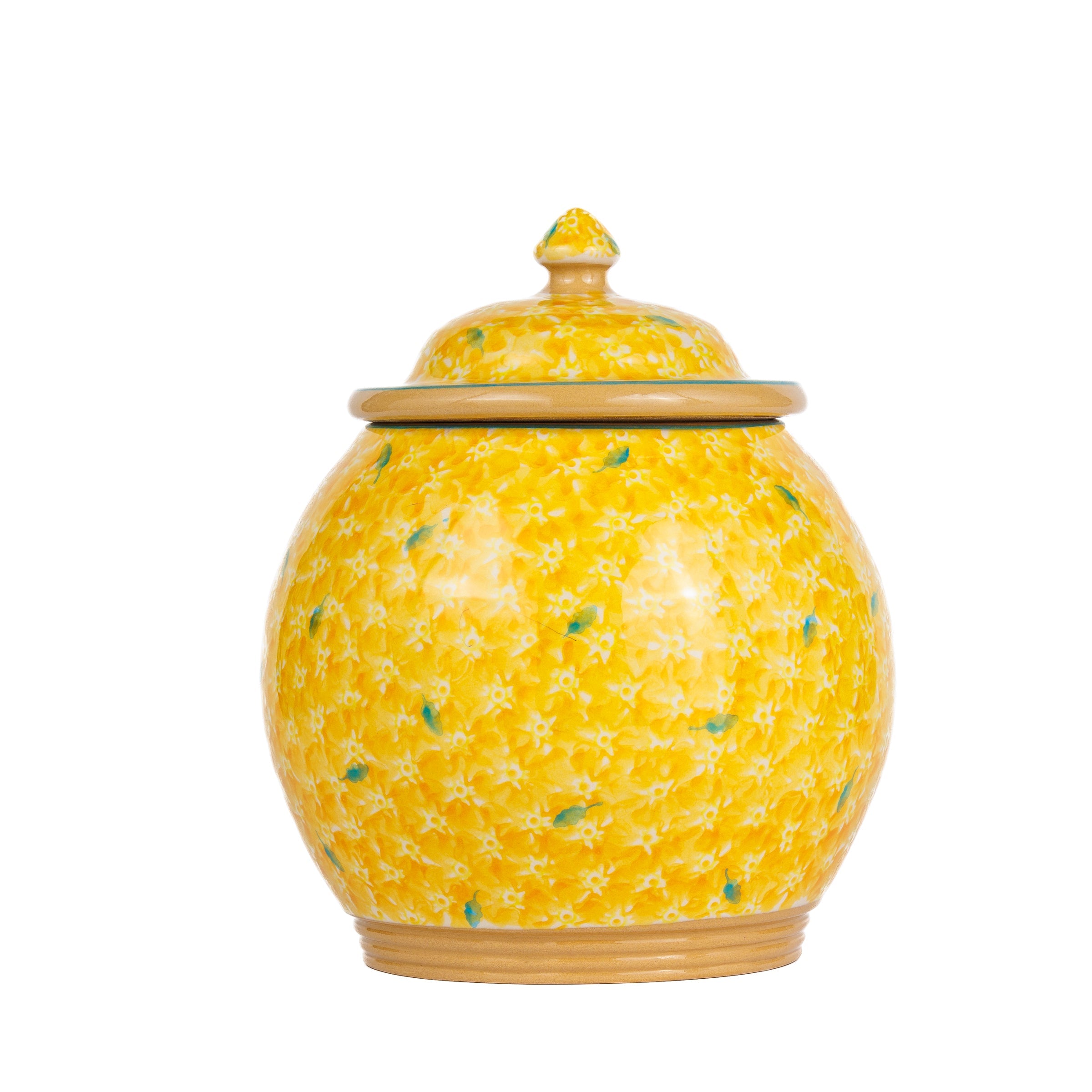 Cookie Jar Lawn Yellow | NicholasMosse.com