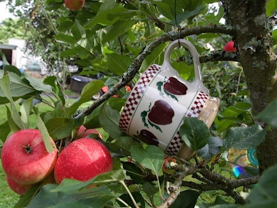 Nicholas Mosse Apple Pattern Large Mug