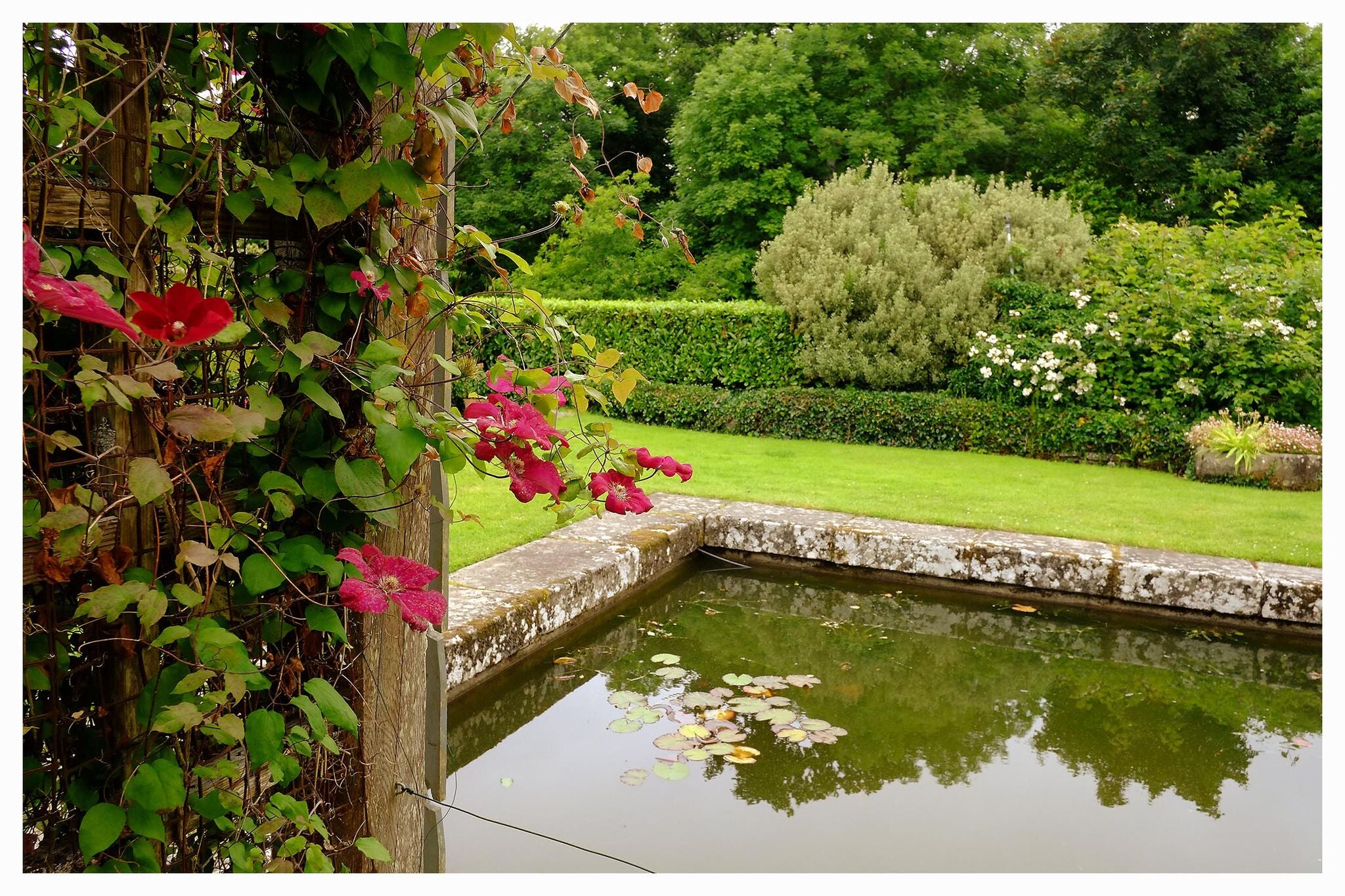 Fishpond Kilfane Glen and gardens thomastown co. kilkenny ireland