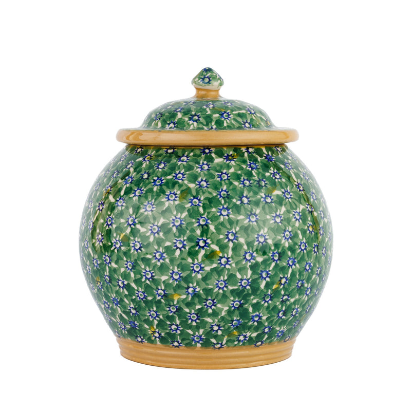 Cookie Jar Lawn Green handmade Irish design Nicholas Mosse Pottery Ireland
