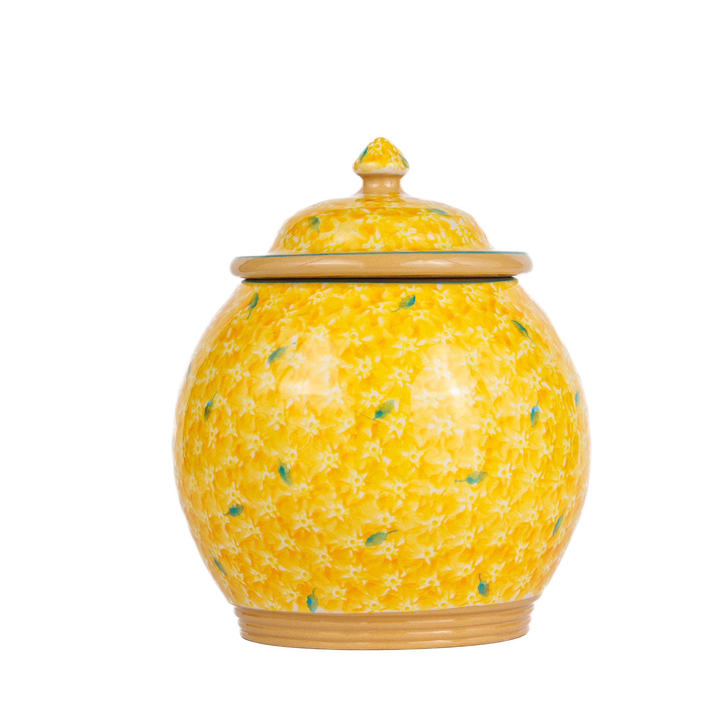 Cookie Jar Lawn Yellow handmade Irish design Nicholas Mosse Pottery Ireland