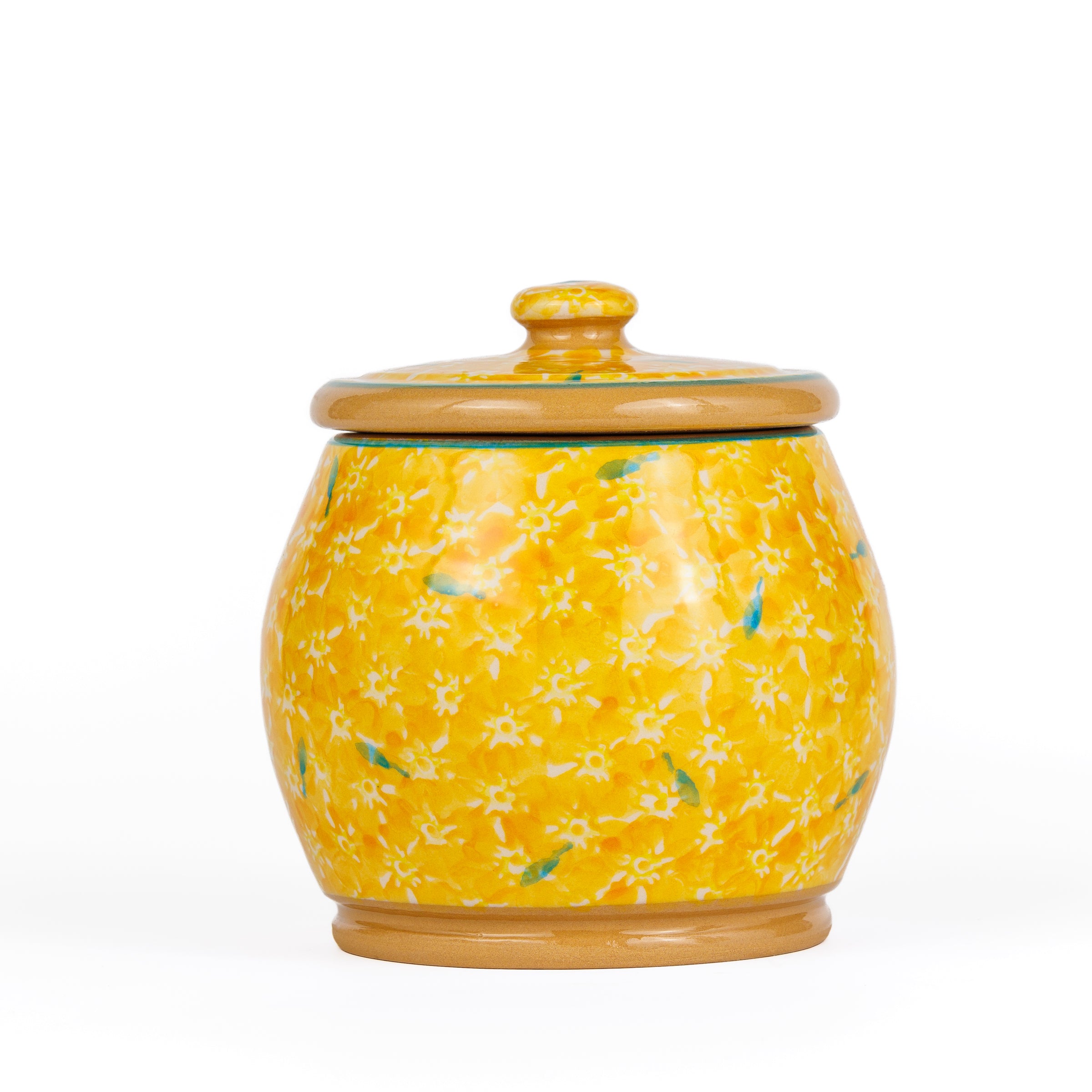 Small Round Lidded Jar Lawn Yellow handcrafted spongeware Nicholas Mosse Pottery Ireland