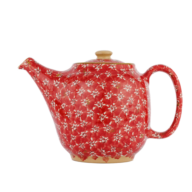 Teapot Lawn Red handcrafted spongeware Nicholas Mosse Pottery Ireland