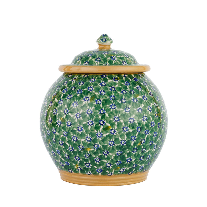 Cookie Jar Lawn Green | NicholasMosse.com