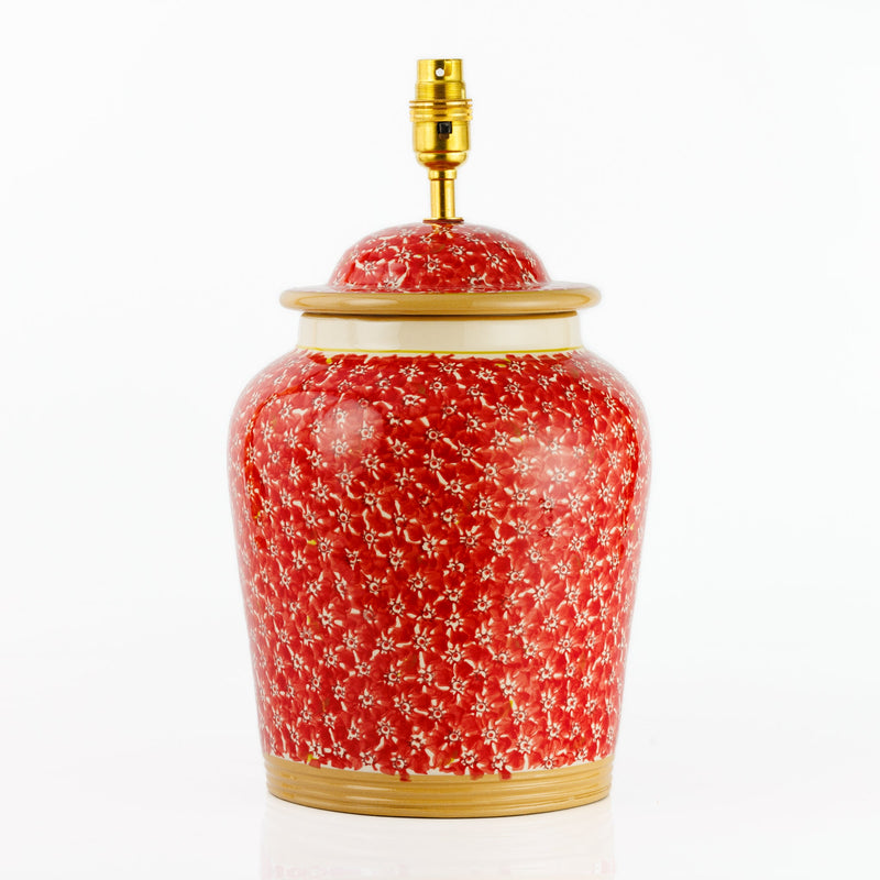 Tall Lamp Red Lawn | NicholasMosse.com