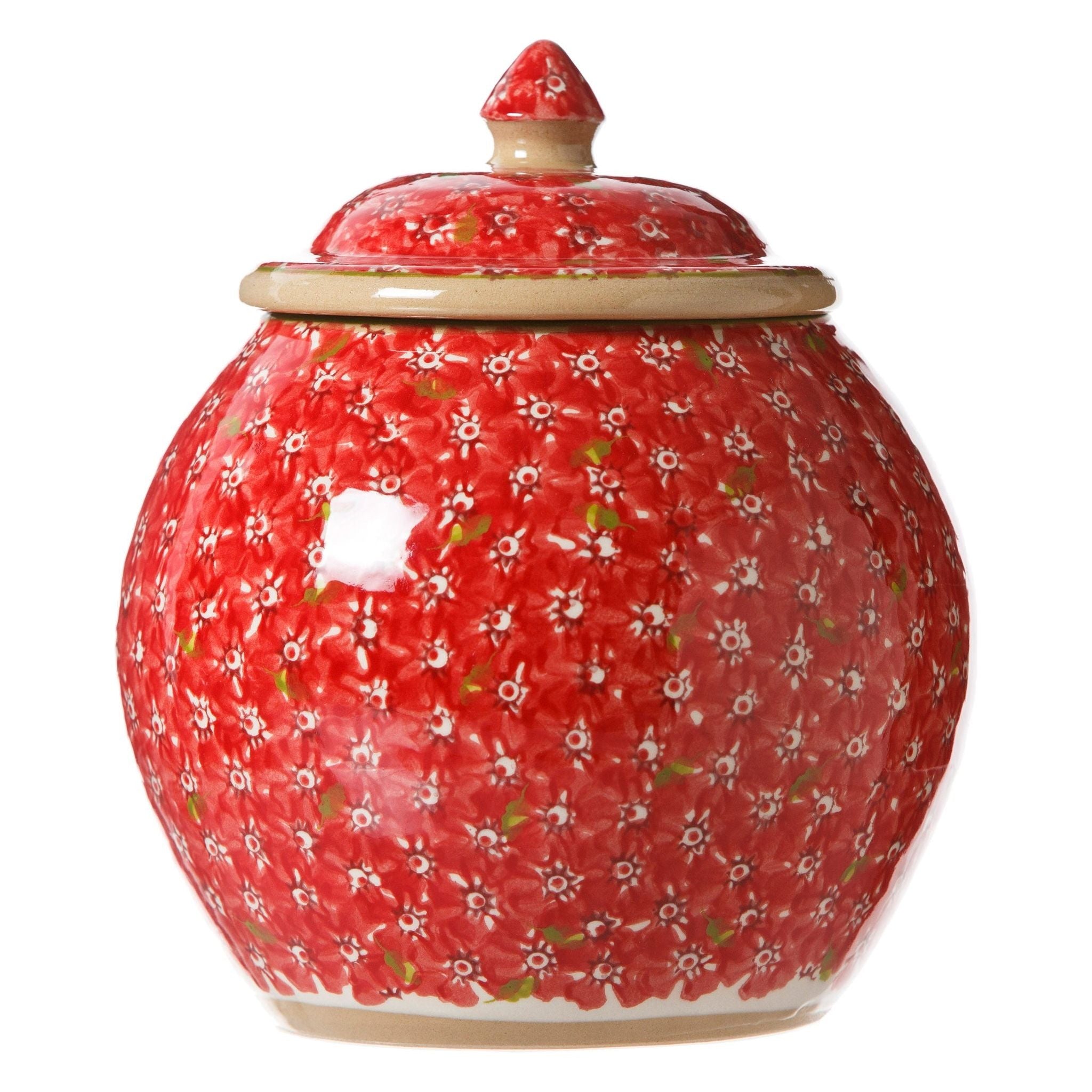 Cookie Jar and Medium Heart Plate Lawn Red | NicholasMosse.com